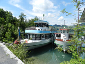 MS Delphin