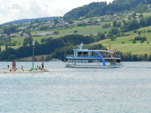 MS Delphin