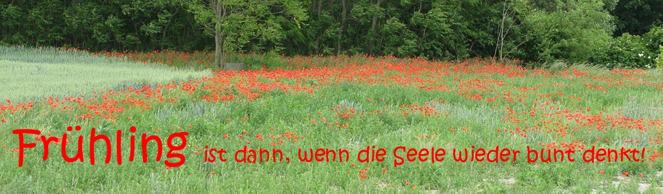 Frühling